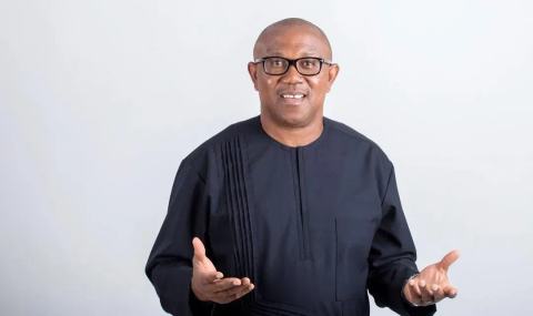 Illustrative photograph for the story: Who Is Peter Obi?